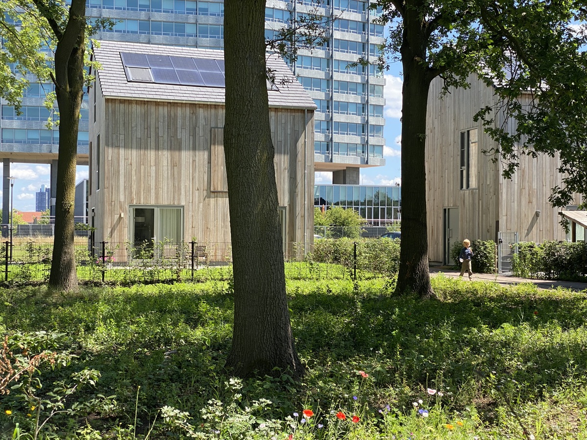 Gevelbekleding huizenblok Eindhoven met populierenhout van Peppelhout