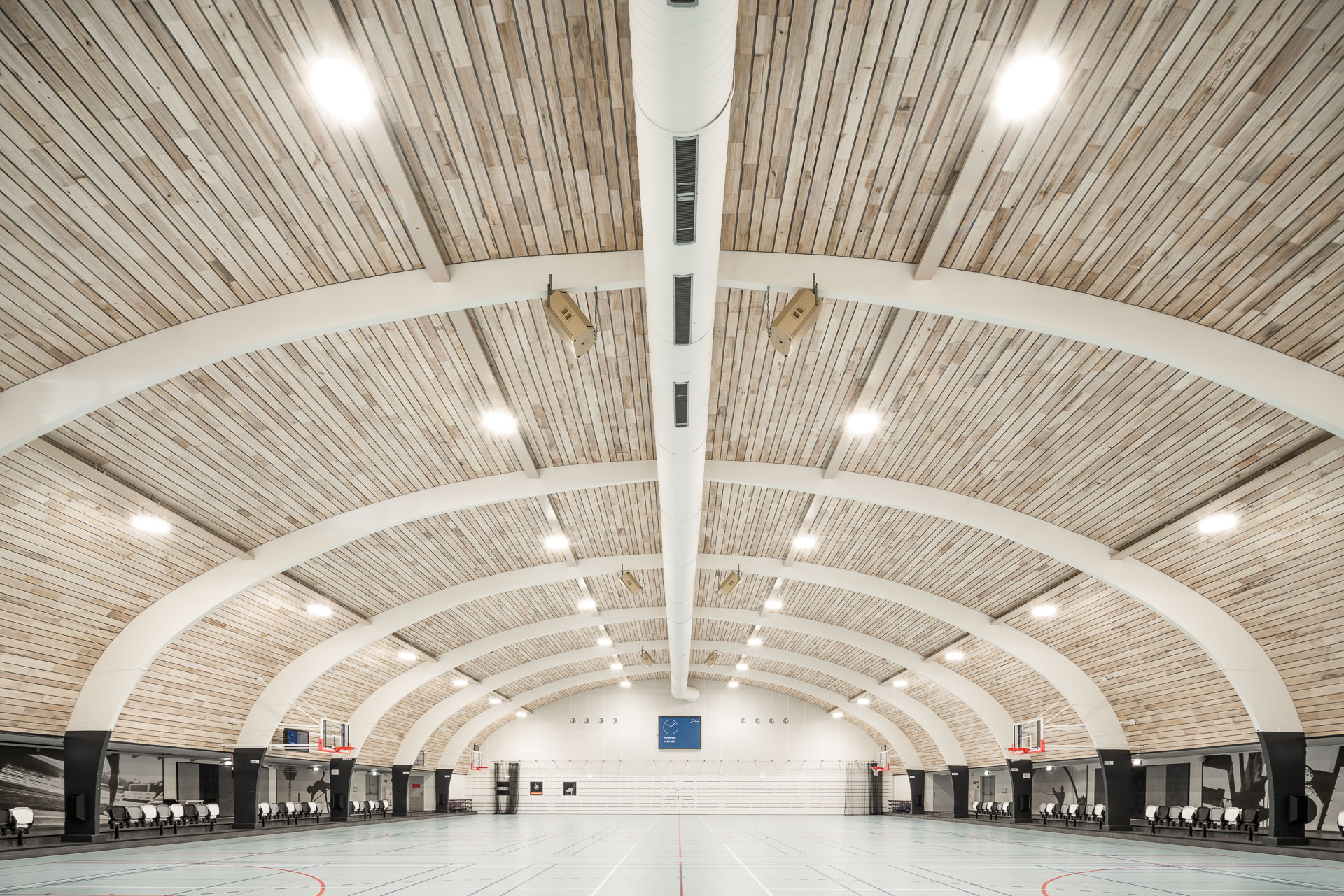 Plafond sporthal Amsterdam met populierenhout van Peppelhout
